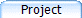 Project