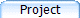 Project